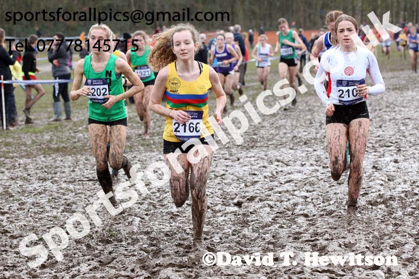 Womens under-17s 2018 British Inter Counties Cross Country Champs., Prestwold Hall, Loughborough. Photo: David T. Hewitson/Sports for All Pics